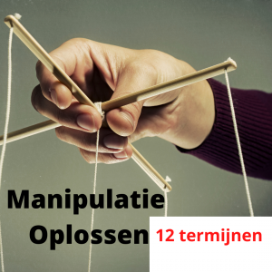 Manipulatie-oplossen-12-termijnen