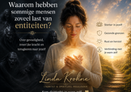 Waarom-last-van-entiteiten